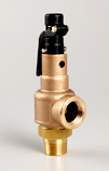 Series 560 brass safety valve