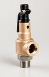 Series 560 stainless safety valve