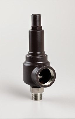 Series 742 carbon steel safety relief valve with closed cap
