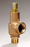 Series 89 brass safety valve with closed cap