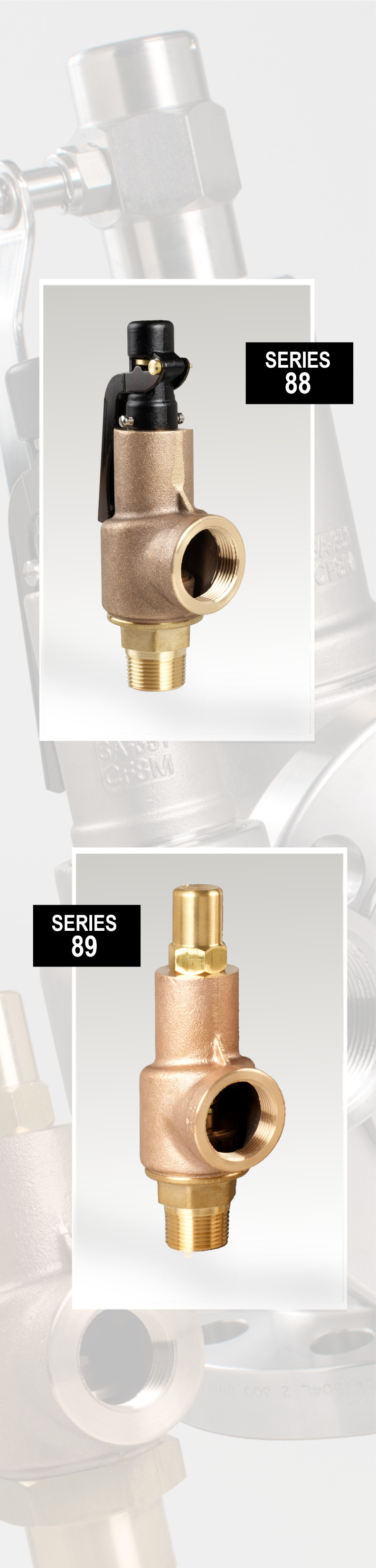 Series 88 brass safety valves with cap options